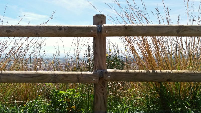 Weather Considerations